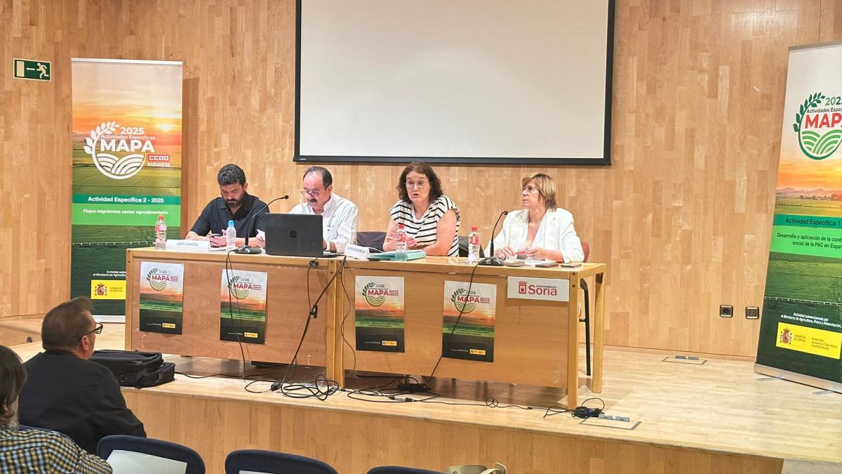 Un momento de la jornada que se celebr en Soria
