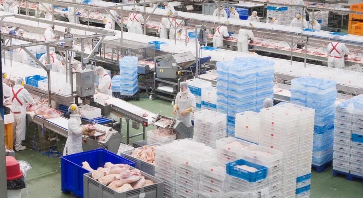 Campofrío emplea a tres mil personas por toda la geografía española