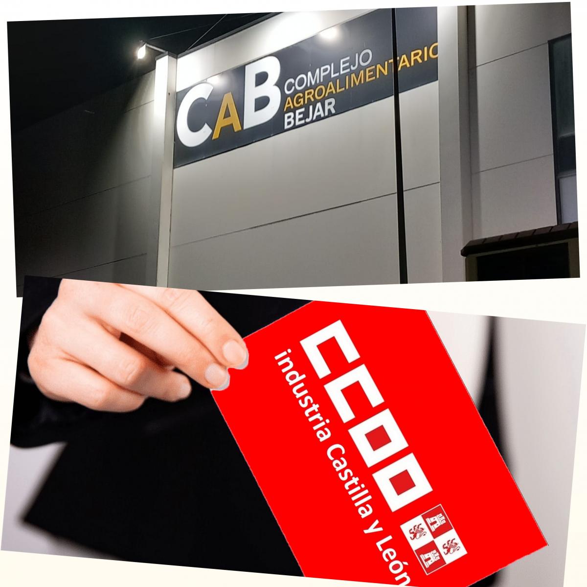 CCOO Industria Salamanca Revalida la Mayoría Absoluta en Complejo Agroalimentario Bejar