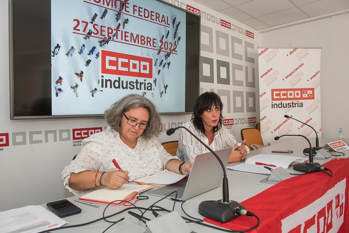 CCOO Industria Celebra su Comité Federal en Valladolid