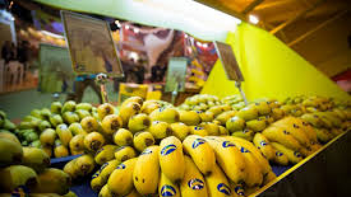 Empaquetado de Platanos