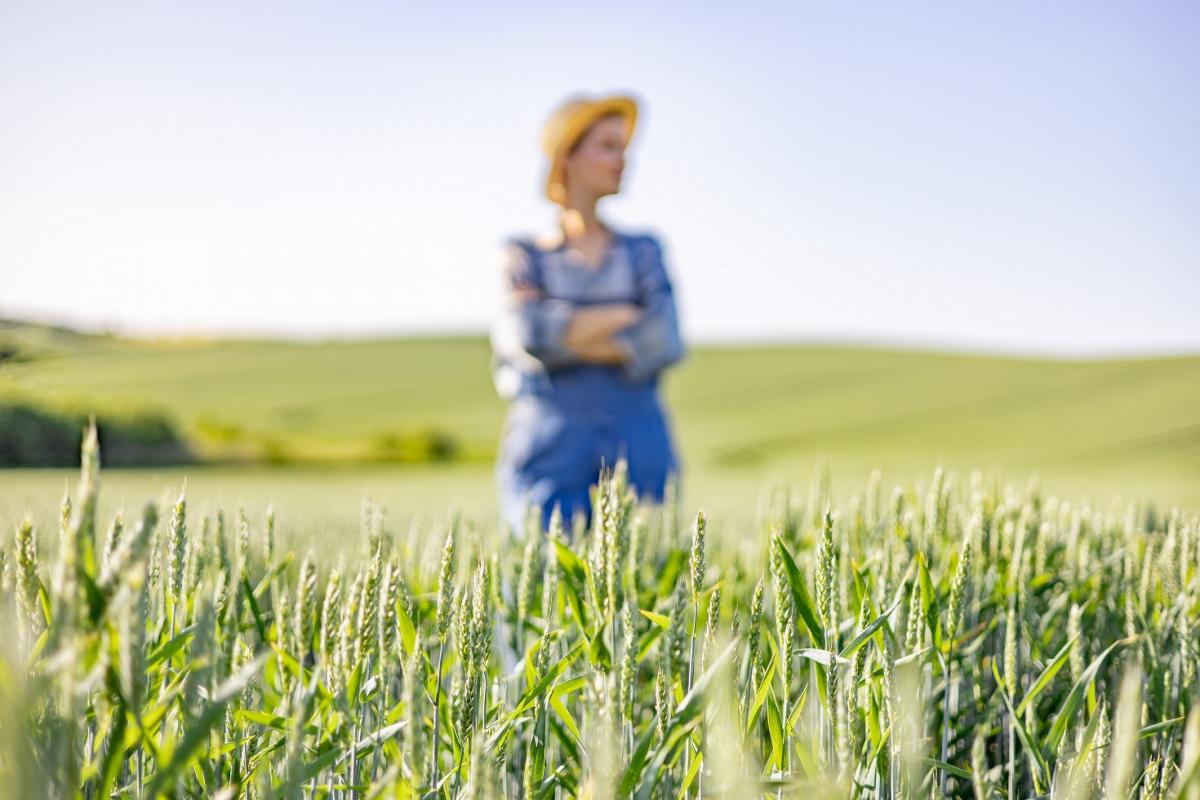 La tasa de temporalidad del sector está en el 32,85%