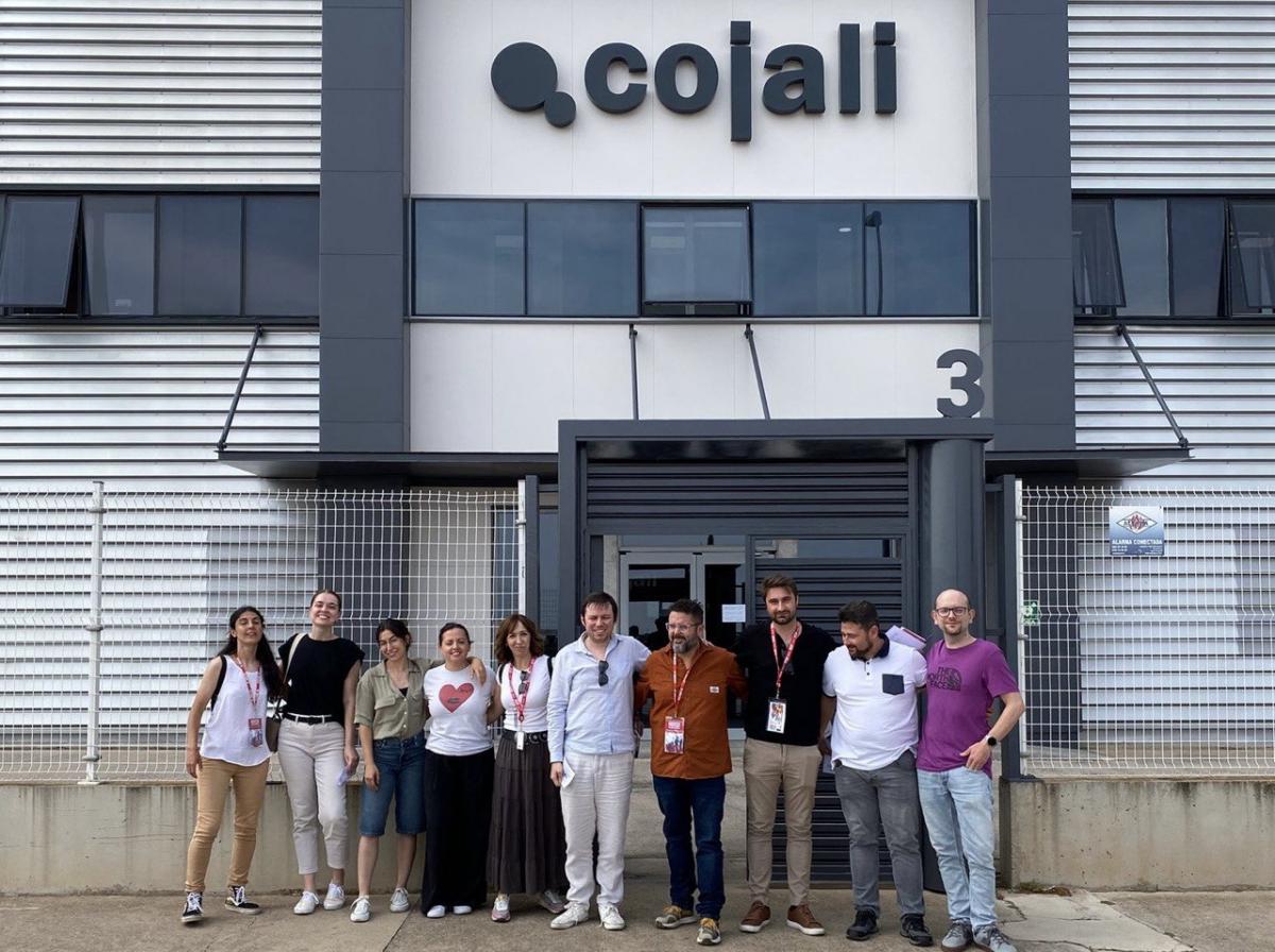 ELECCIONES COJALI