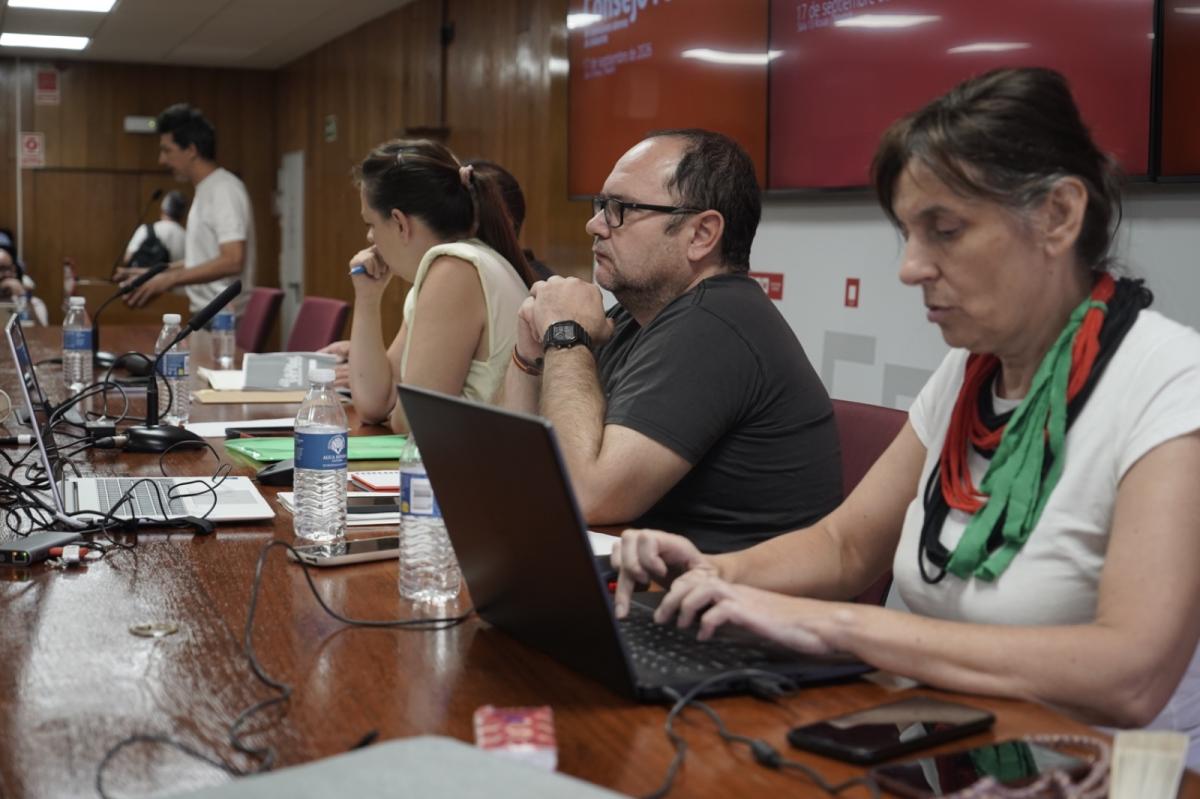 Consejo federal en la Sala 13 Rosas de CCOO de Madrid
