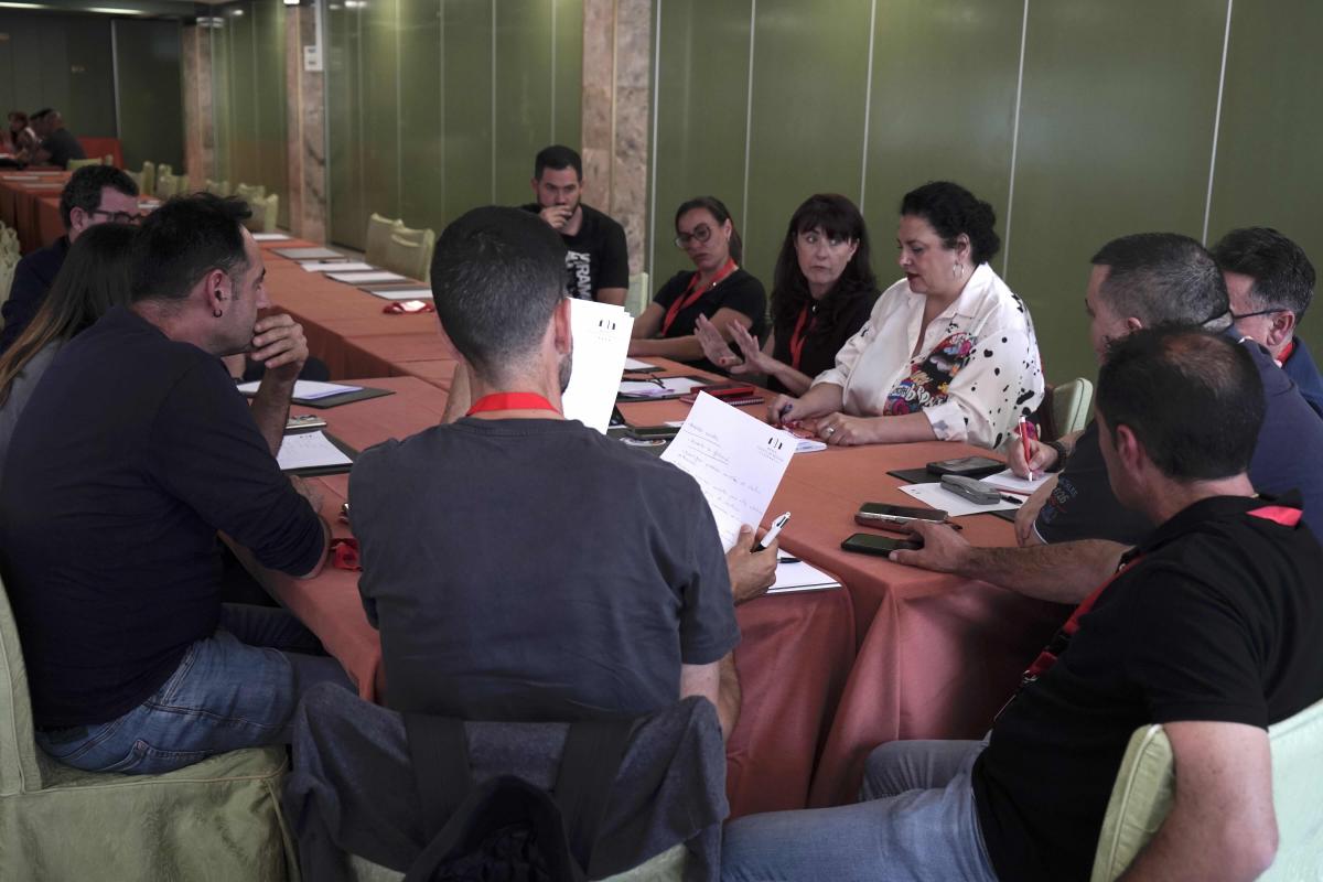 Comité de secciones sindicales y consejo federal