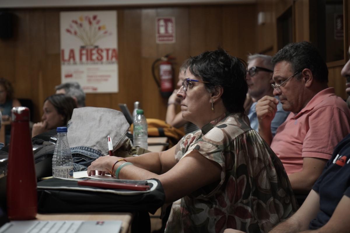Consejo federal en la Sala 13 Rosas de CCOO de Madrid