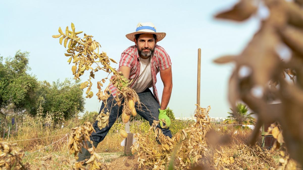 Una Seña de identidad del sector agrario es la desigualdad de género