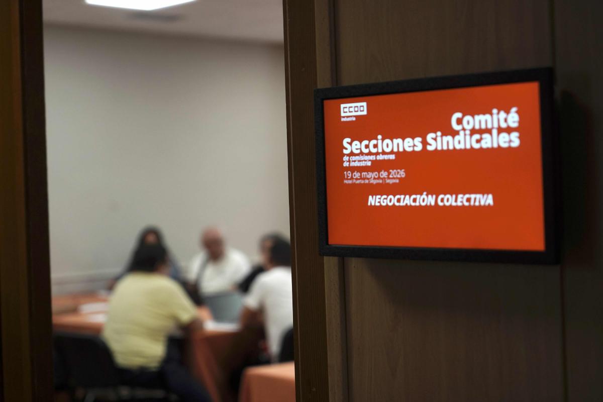 Comité de secciones sindicales y consejo federal