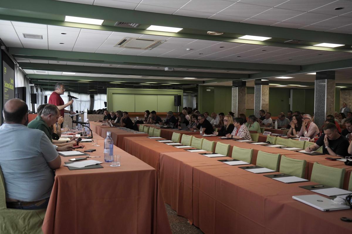 Comité de secciones sindicales y consejo federal