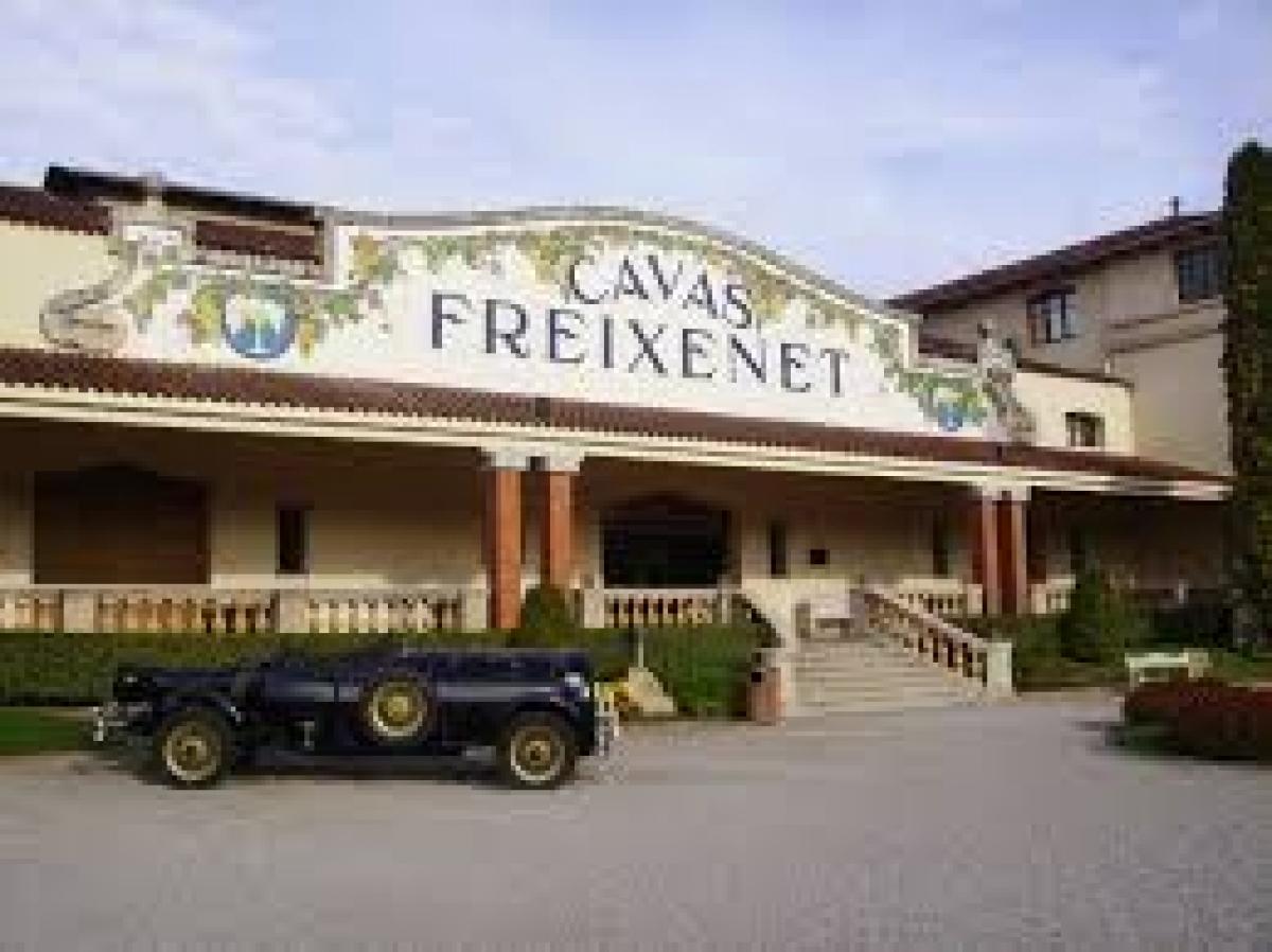 Instalaciones de Freixenet