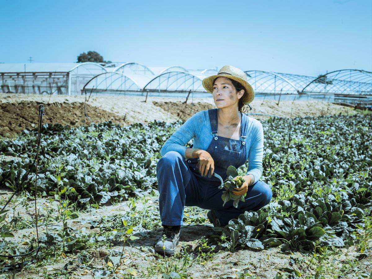 Urge persistir en los planes de igualdad para disminuir la desigualdad de género