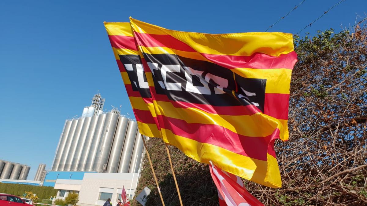 Huelga en la petroqumica de Tarragona