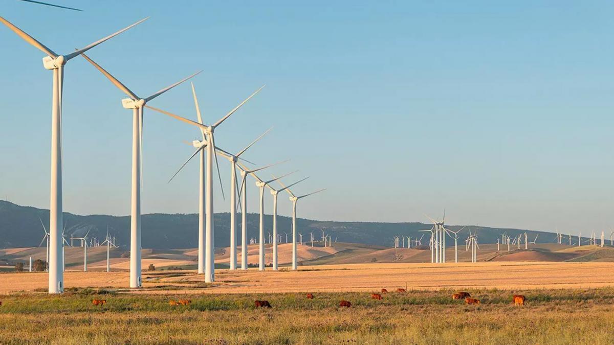 Parque elico de Tahivilla, en Tarifa