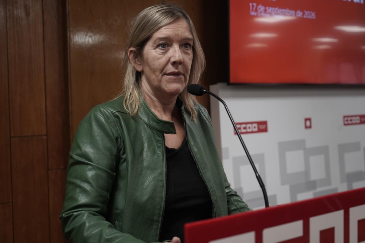 Consejo federal en la Sala 13 Rosas de CCOO de Madrid