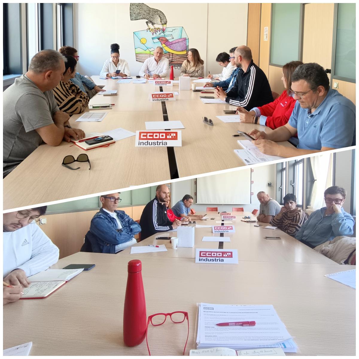 Plenario Organización CCOO Industria CyL