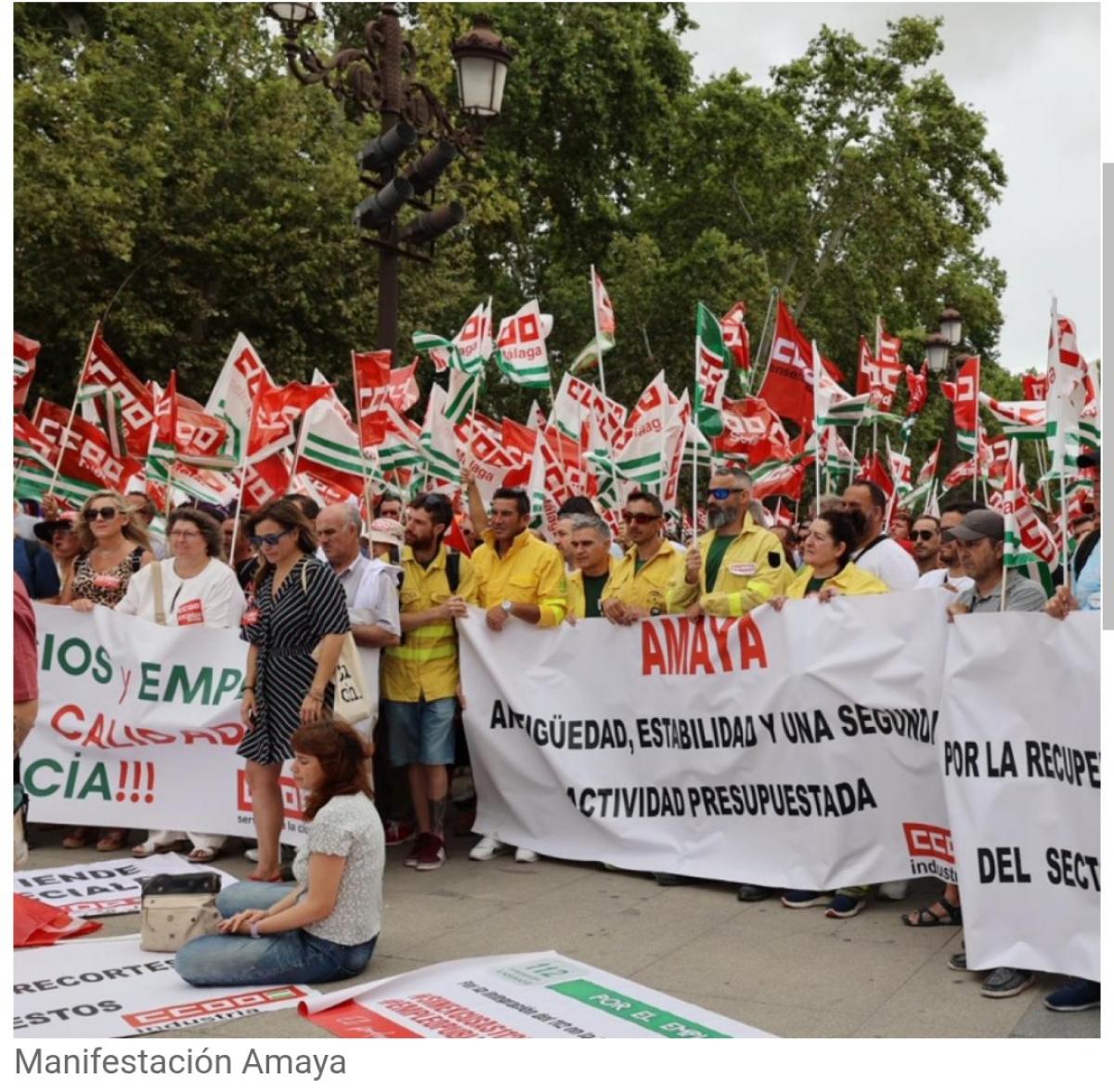 Manifestación Amaya
