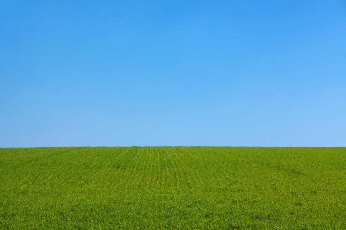 Imagen de un paisaje de campo (foto de Pexels)