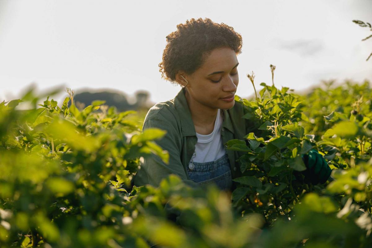 276.543 mujeres trabajan en el agro español