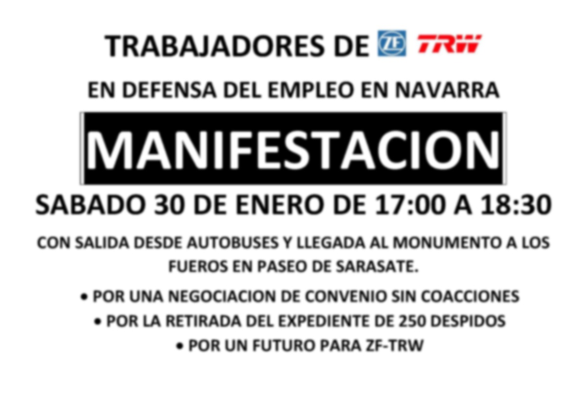 El comit de TRW anima a la sociedad navarra a manifestarse este sbado