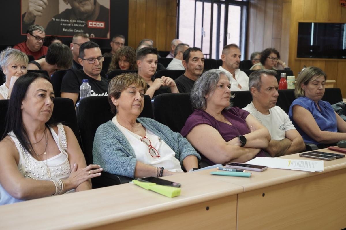 Consejo federal en la Sala 13 Rosas de CCOO de Madrid