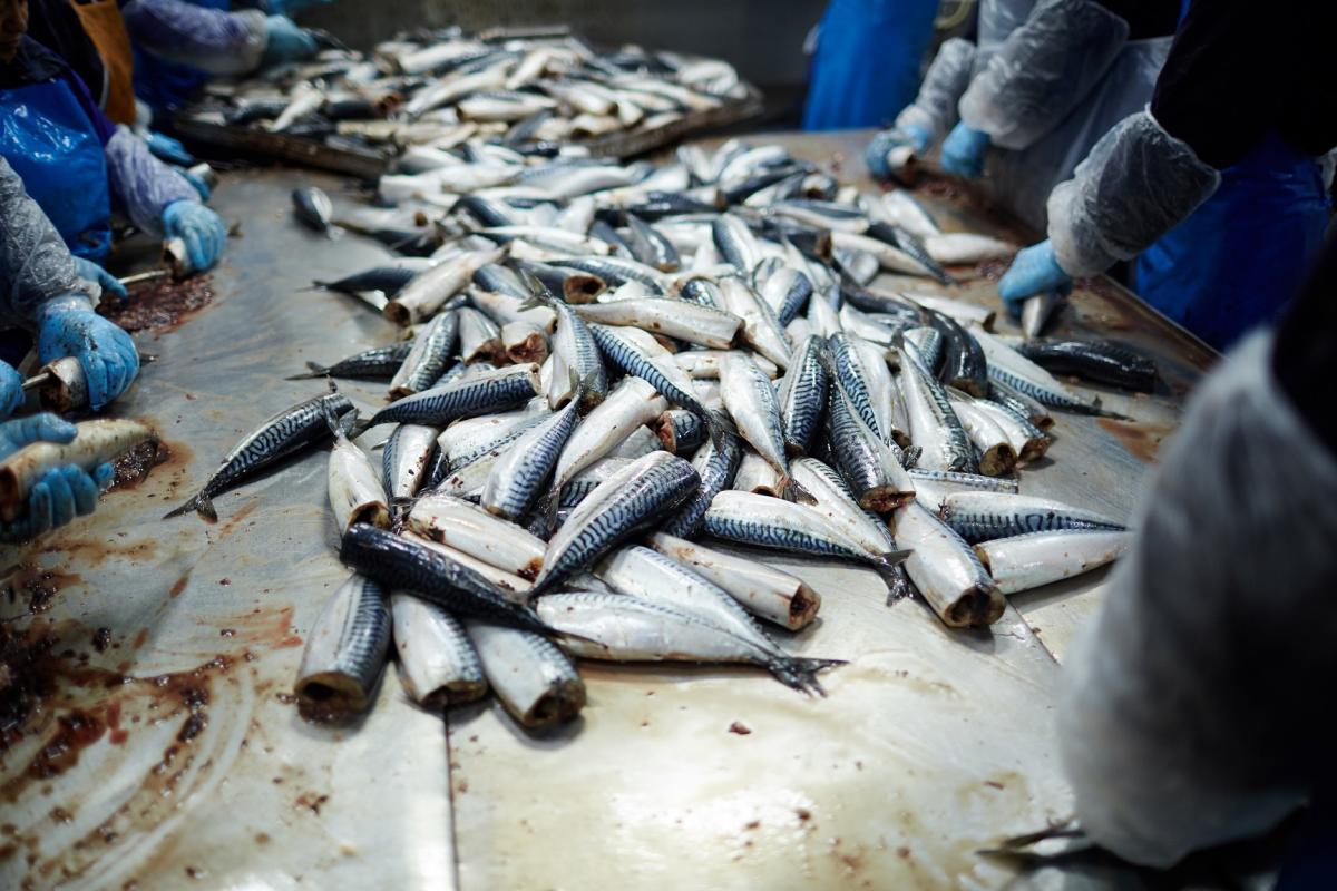 Parece que la patronal no tiene intención de mejorar cómo se trabaja en el sector