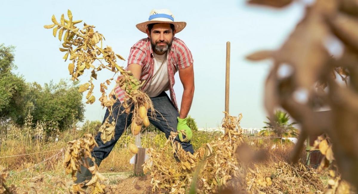 Fueron indefinidos un total de 65.606 contratos, el 44% del total