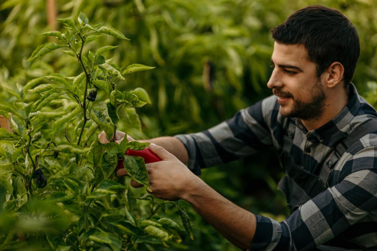 El paro agrario afecta a 126.300 personas en este tercer trimestre