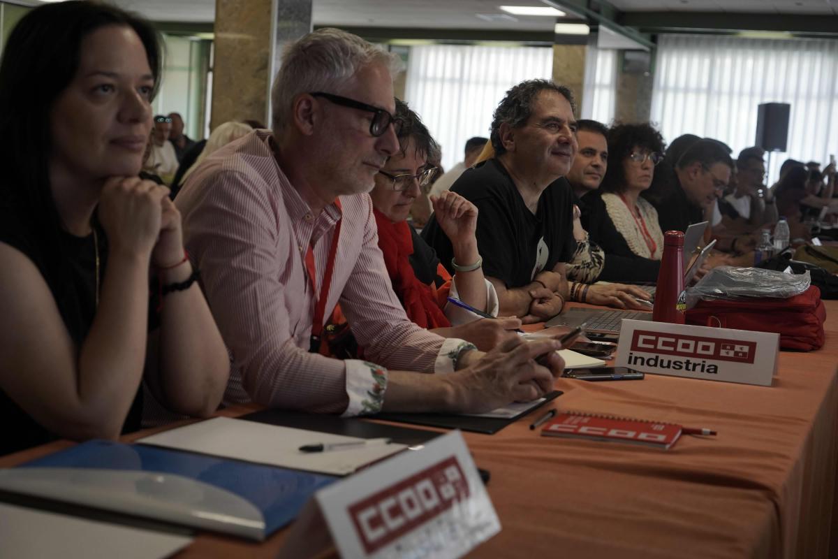 Comité de secciones sindicales y consejo federal