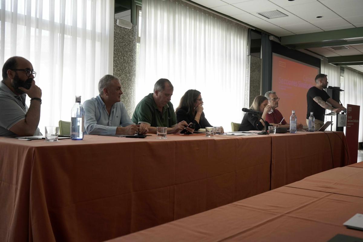 Comité de secciones sindicales y consejo federal