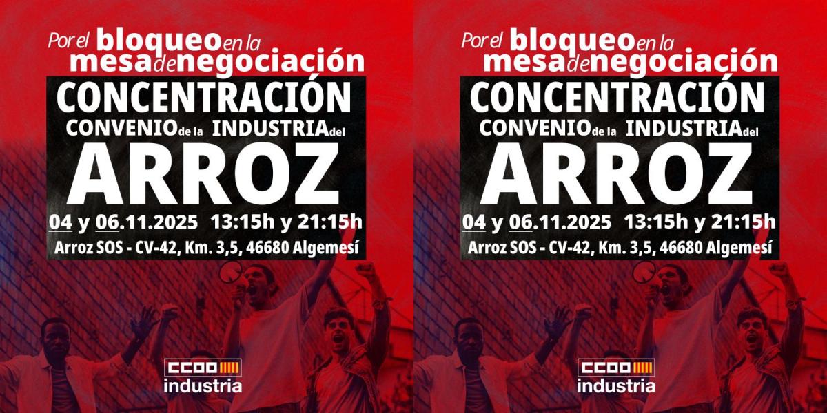 Carteles de las concentraciones en Silla y Algemesí.