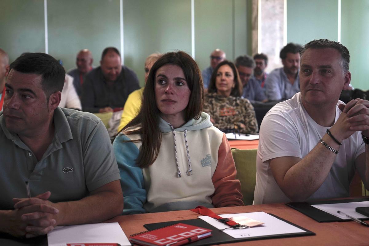Comité de secciones sindicales y consejo federal