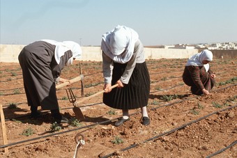 Trabakadores agricolas