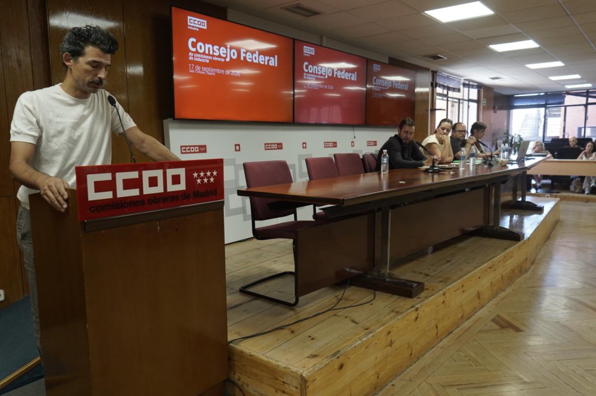 Consejo federal en la Sala 13 Rosas de CCOO de Madrid
