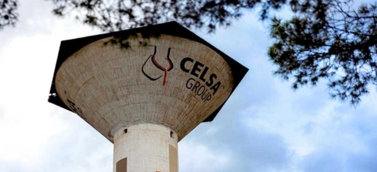 Fuente: celsagroup.com