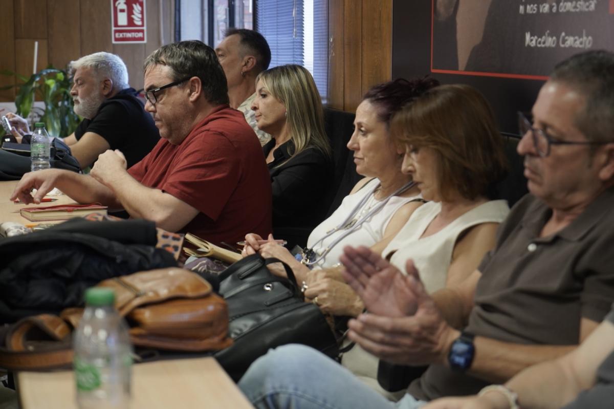 Consejo federal en la Sala 13 Rosas de CCOO de Madrid