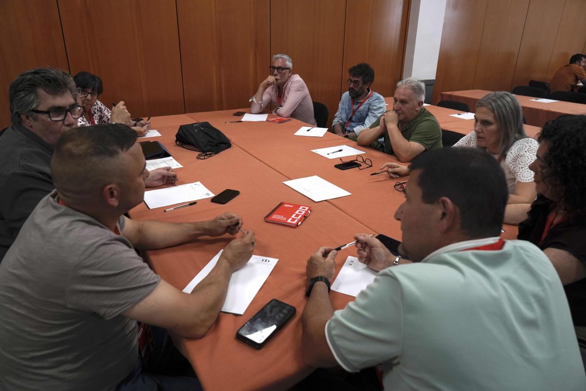 Comité de secciones sindicales y consejo federal