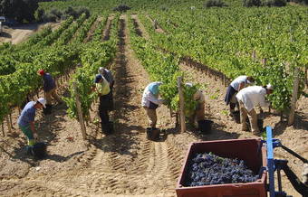 Trabajadores temporeros