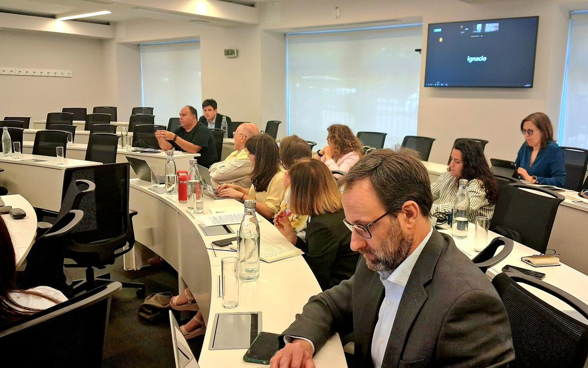 Grupo de Trabajo sobre Baterías y Minerales Críticos para la Descarbonización del Vehículo Eléctrico